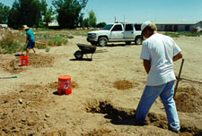 Excavating new burrows